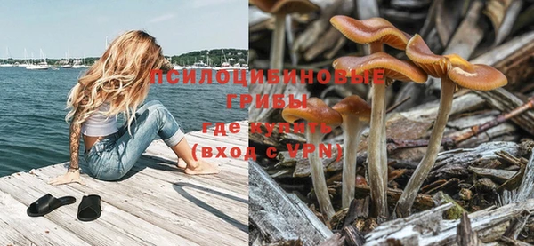 Альфа ПВП Балабаново