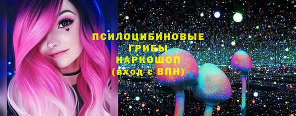 хмурый Балахна