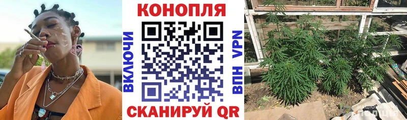 Каннабис AK-47 Купить где Верхоянск